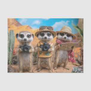 Meerkats Dressed as Tourists with Cameras and Maps Tissue Paper