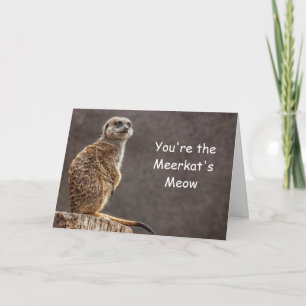 Meerkat's Meow Birthday Card