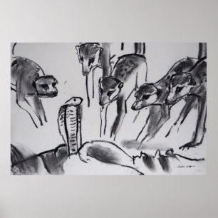 Meerkats mobbing Cobra - Art Print