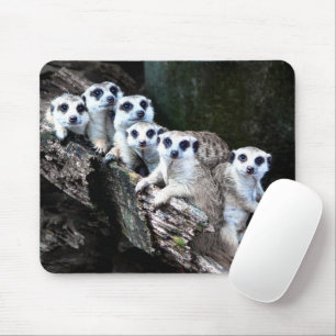 Meerkats Mouse Pad