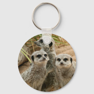 Meerkats on the lookout keychain