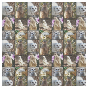 Meerkats Photo Collage Combed Cotton Material Fabric