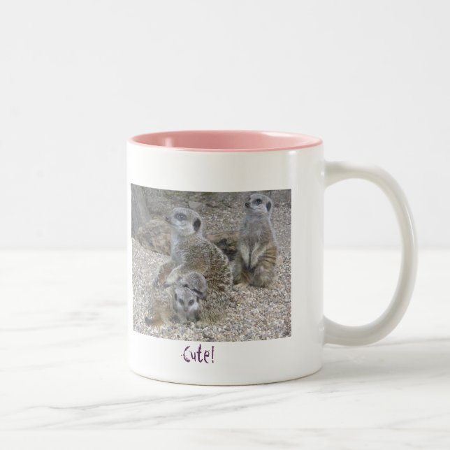 Meerkats Rule Mug (Right)
