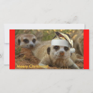 Meery Christmas Zaphod - Photo card