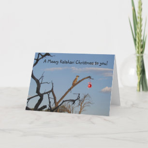 Meery Kalahari Christmas — Greetings Seaons Holiday Card