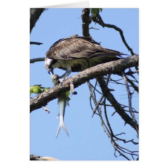 Meet for Lunch (Front)