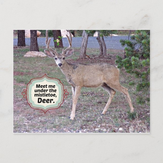 Meet me under the Mistletoe Postcard (Front)