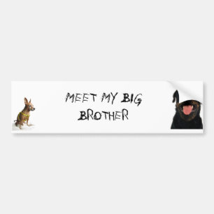 meet my big brother bumper sticker