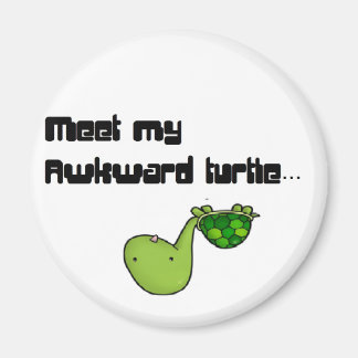 meet my turtle magnet