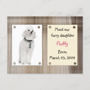 Meet new pets announcement postcard