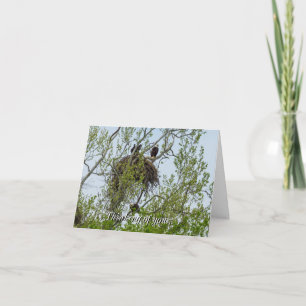Meet The Eagle Family Thinking Of You Card