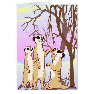 Meet the meerkats, Family in the snow