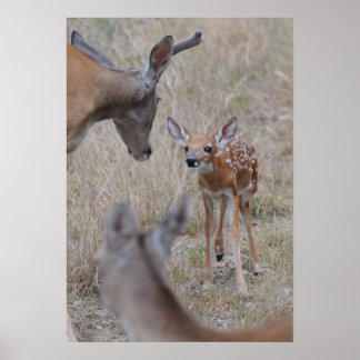 Meet The New Baby Poster