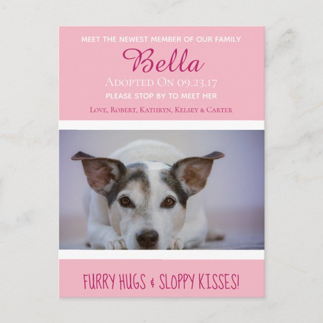 Meet The Newest Member "New Pet" Announcement Postcard (Front)