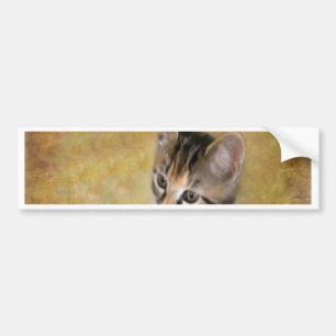 Meet Tiger Bumper Sticker