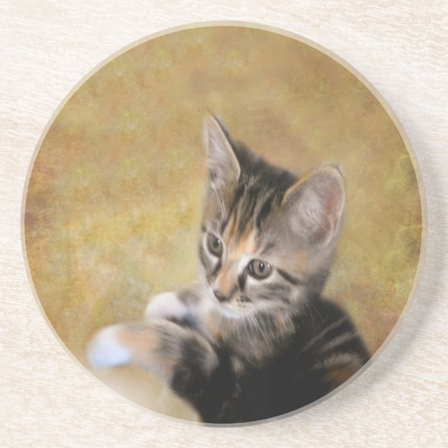 Meet Tiger Coaster (Front)