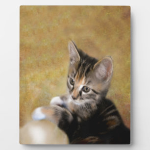 Meet Tiger Plaque
