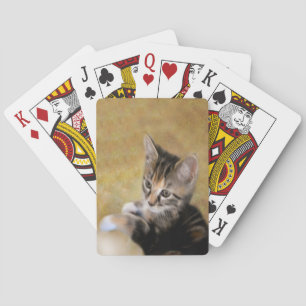 Meet Tiger Playing Cards