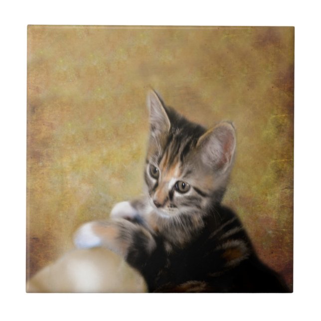 Meet Tiger Tile (Front)