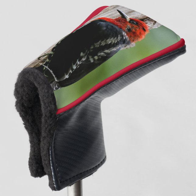 Meeting a Red-Breasted Sapsucker Golf Head Cover (3/4 Front)