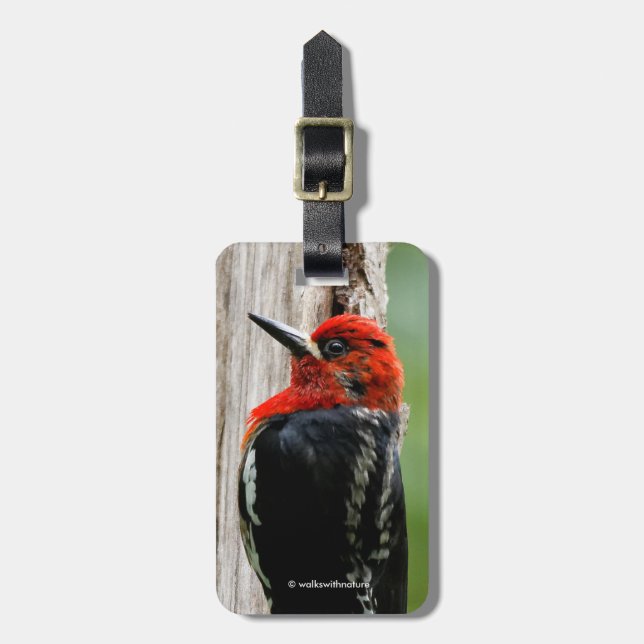 Meeting a Red-Breasted Sapsucker Luggage Tag (Front Vertical)