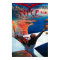Meeting D' Aviation in Nice, France Poster