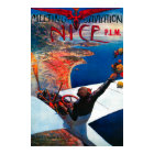 Meeting D'Aviation à Nice, France Poster