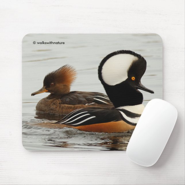 Meeting of Hooded Merganser Ducks at the Pond Mouse Pad (With Mouse)