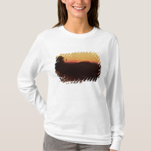 Meeting of Jacob and Esau T-Shirt