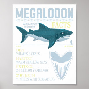 Megalodon Facts Meg Prehistoric Shark Tooth Fossil Poster