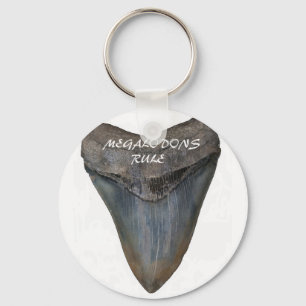 Megalodon Shark Tooth Keychain