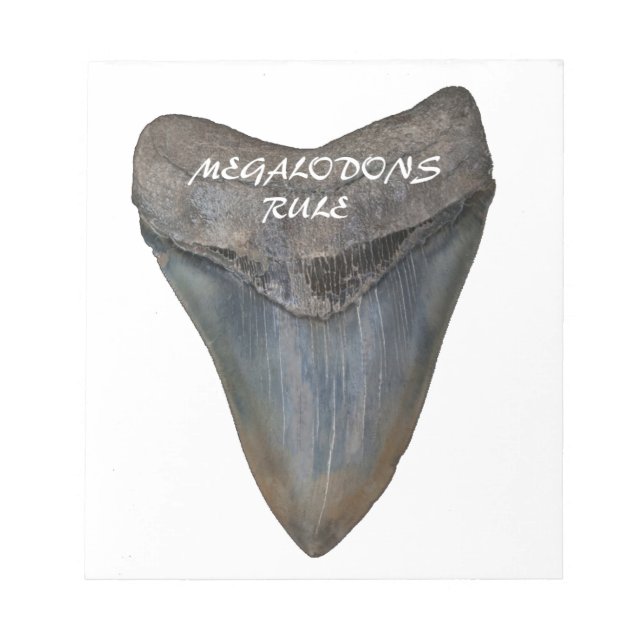 Megalodon Shark Tooth Notepad (Front)