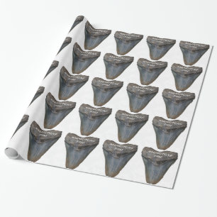 Megalodon Shark Tooth Wrapping Paper