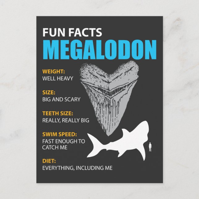 Megalodon tshirt great gift for shark enthusiasts postcard (Front)