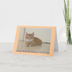 Meggie Notecards