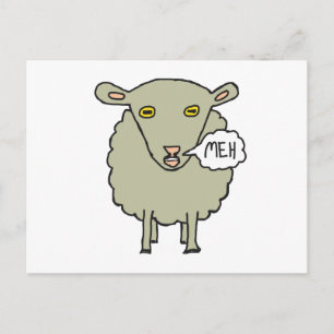 Meh Sheep Postcard