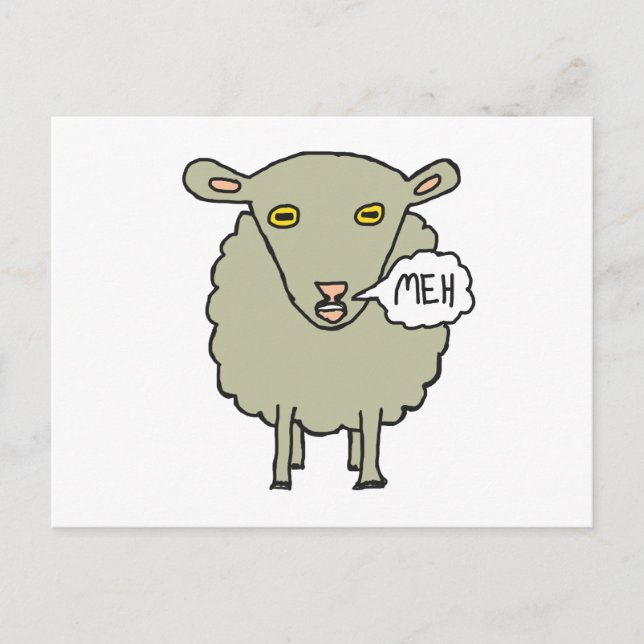 Meh Sheep Postcard (Front)