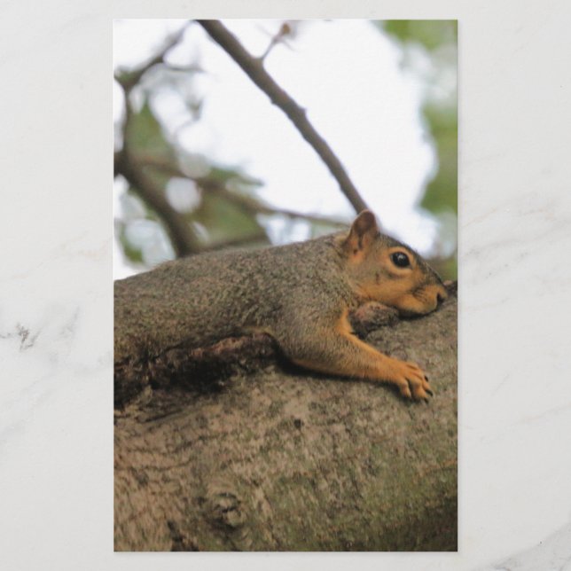 Meh Stationery (Front)