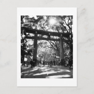 Meiji Shrine: Tokyo, Japan Postcard