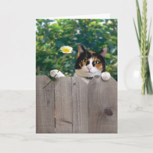 Meilleur adorable mignon drôle de carte de chat de