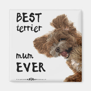 Meilleur aimant pour maman terrier