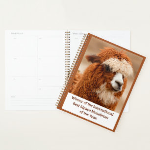 Meilleur Sourcil Unique d'Alpaca