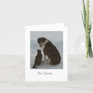 Meilleure carte d'amis