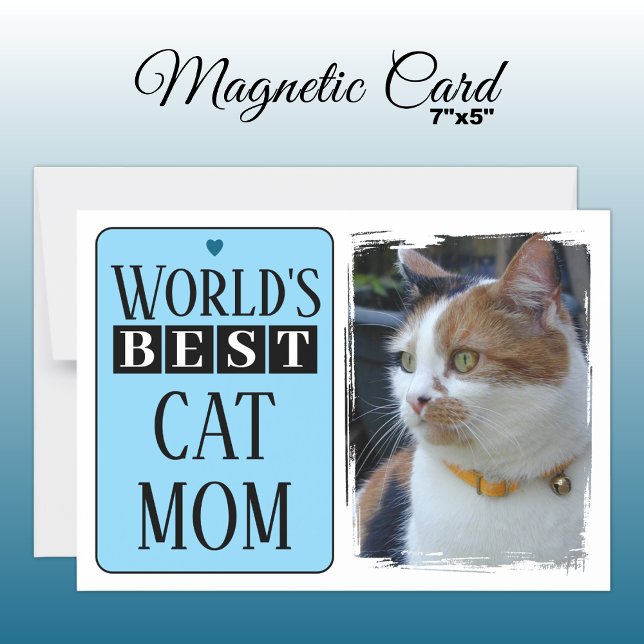 Meilleure carte magnétique bleue photo maman chat  (Créateur téléchargé)