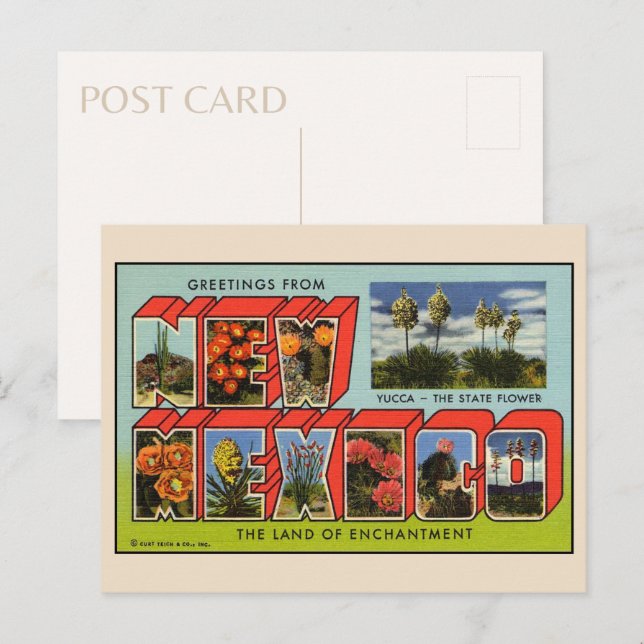 Meilleures salutations de la carte postale du Nouv (Devant / Derrière)