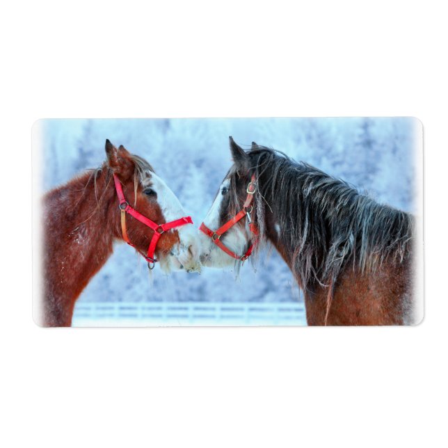 Meilleurs amis (Devant)