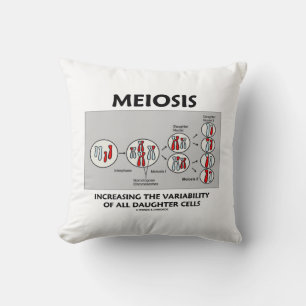 Meiosis Increasing Variability All Daughter Cells Throw Pillow