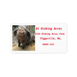 Meishan ,Pig Address Labels