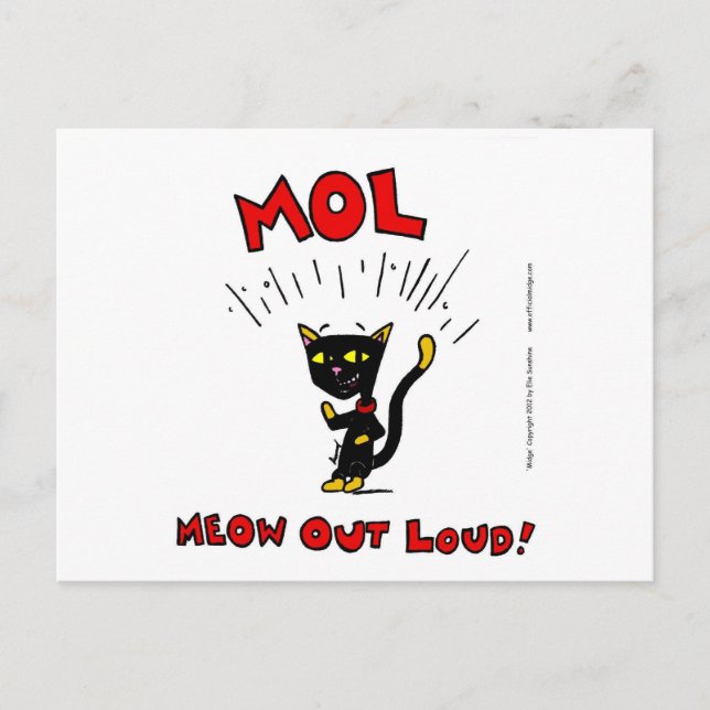 Mel "MOL: MEOW OUT LOUD" Postcard (Front)