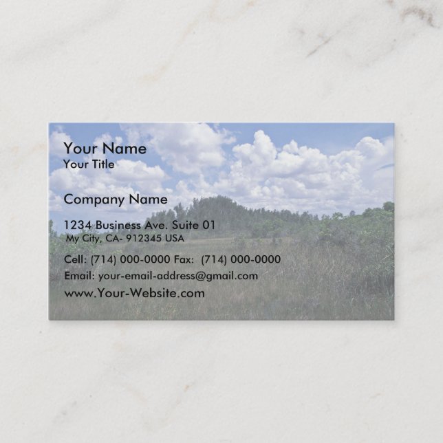 Melaleuca Business Card (Front)